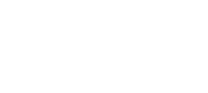 Raid